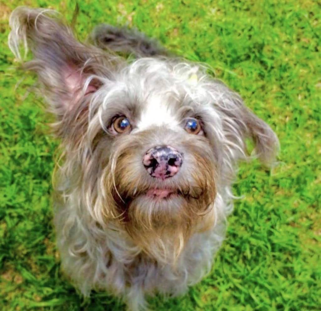 Farofa: o melhor&nbsp;acompanhamento